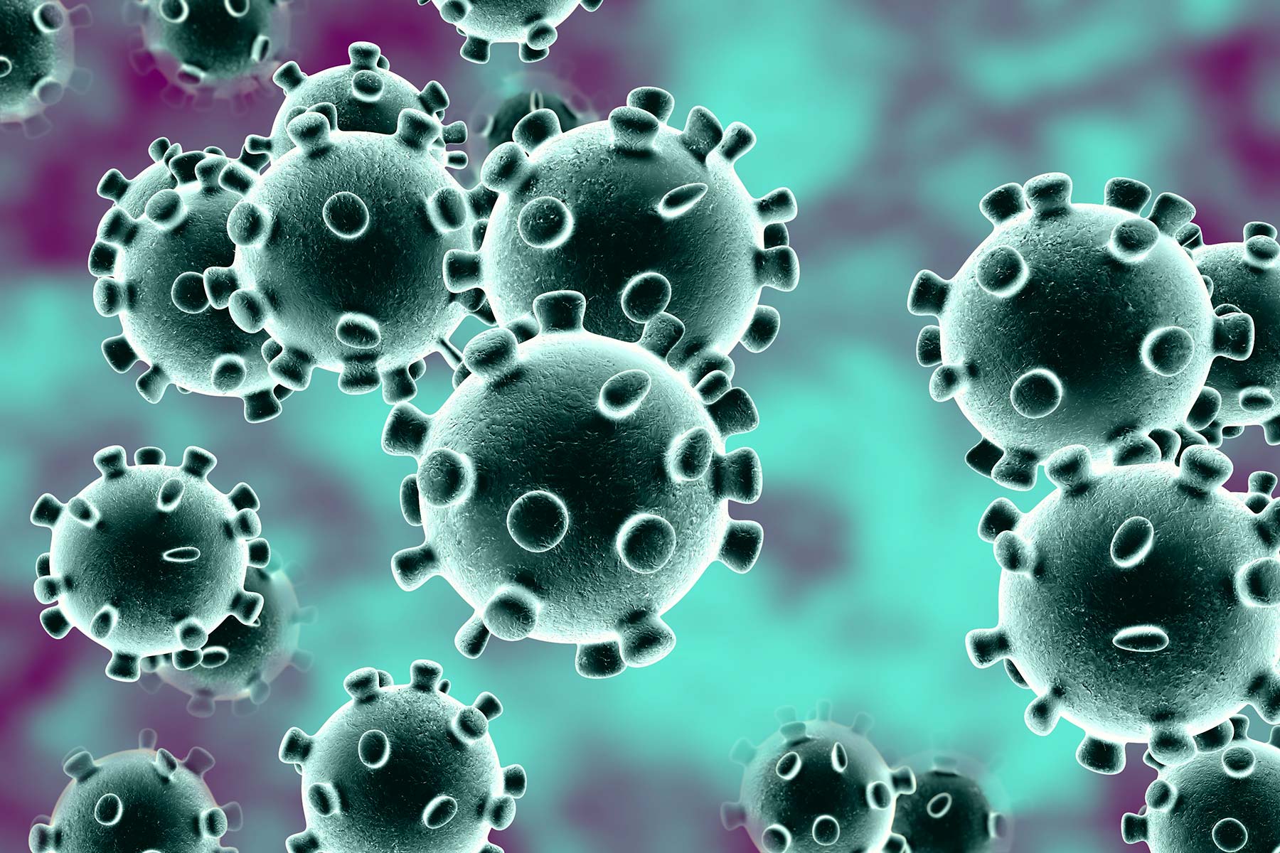 Coronavirus picture